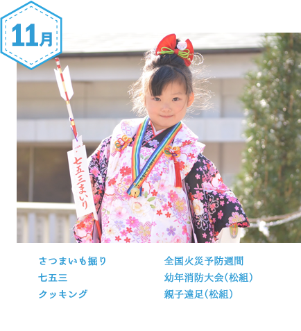 11月
